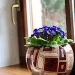 Familia בית הארחה 3*